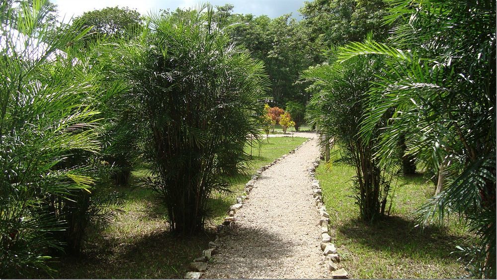 Maya Zac Peten Jungle Lodge El Remate Exterior foto